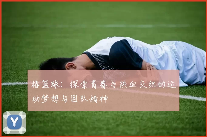 椿篮球：探索青春与热血交织的运动梦想与团队精神