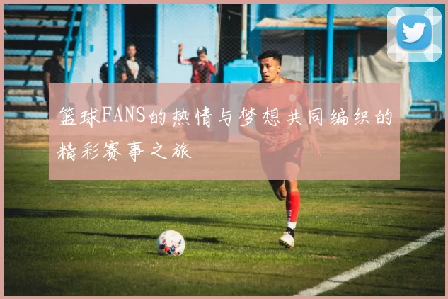 篮球FANS的热情与梦想共同编织的精彩赛事之旅