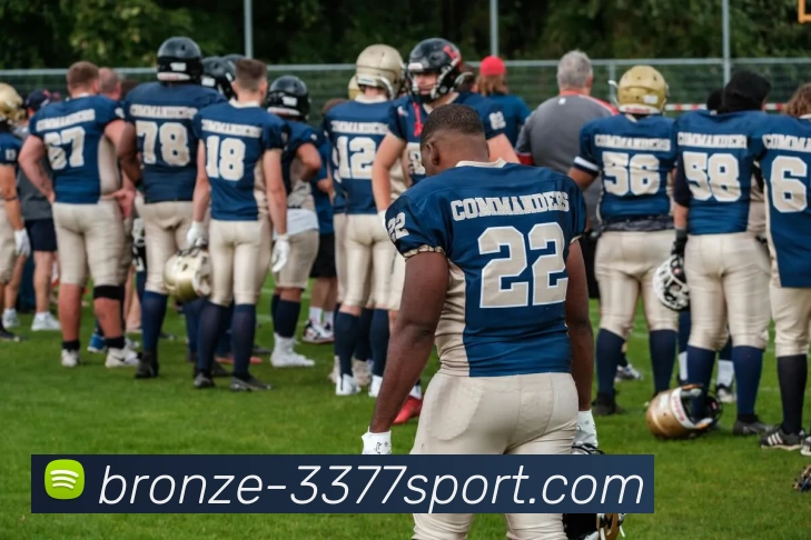 3377体育平台生态图